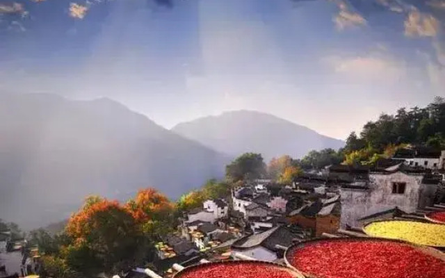 Qingyuanresident
