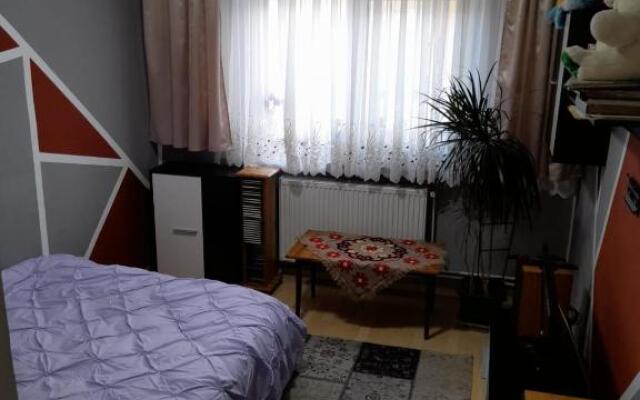 Apartament Straja - (Lupeni)