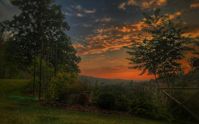 Sazava River Apartment