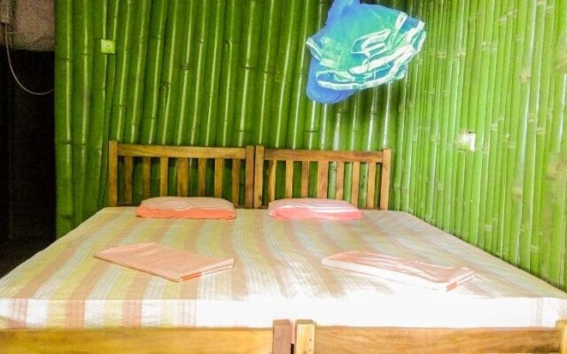 Nature View Lodge