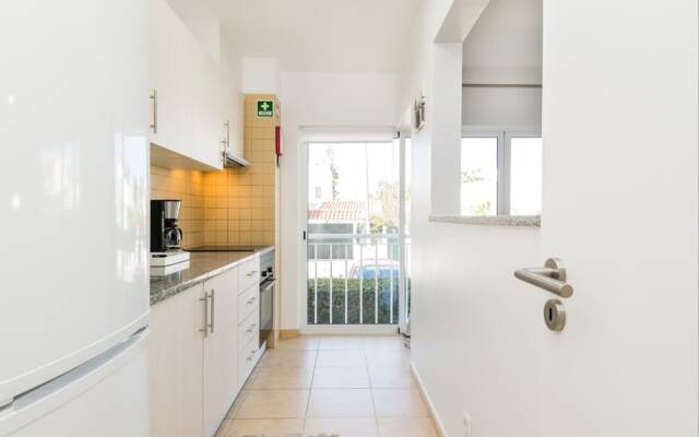 Akisol Tavira Paleto