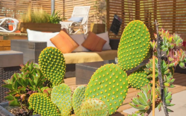 Origen del Maipo Lodge