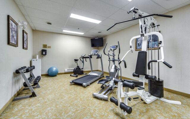 Monte Carlo Inn - Brampton Suites