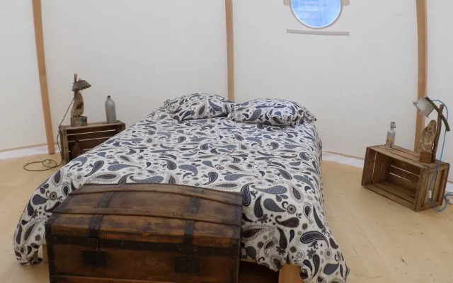 La chouette étoilée