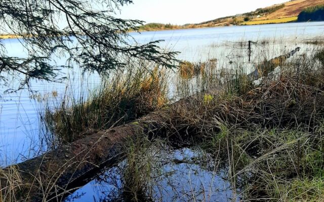 Jackson's Guest House