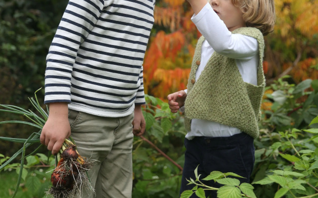 Château D'Harcelaines