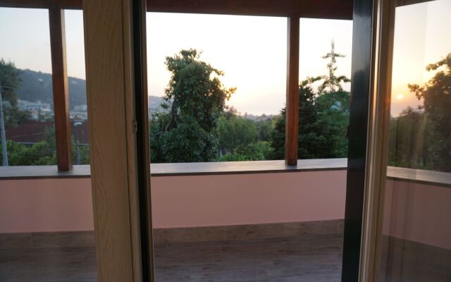 Lemon Factor Sorrento