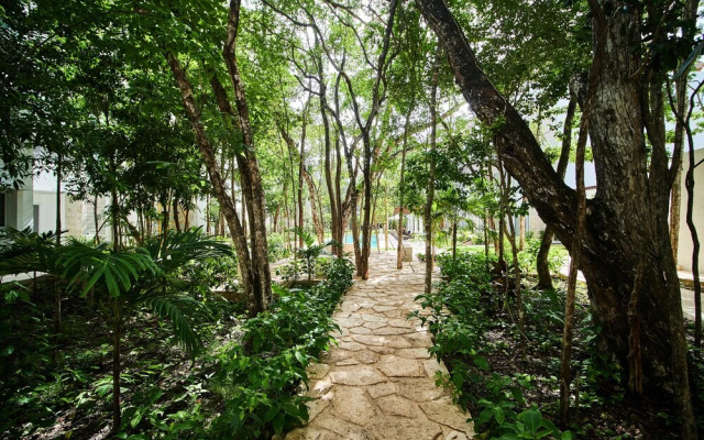 Tao Tulum M202 By Lockey