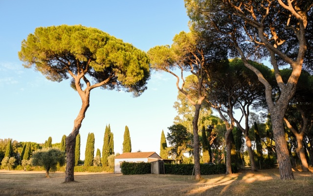 La Canova