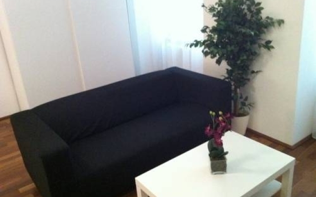 Apartment Alserbachstrasse