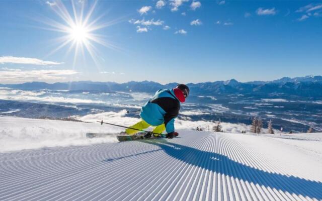 Ferienwohnung Trauntschnig