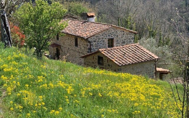 Leon Morto B&B