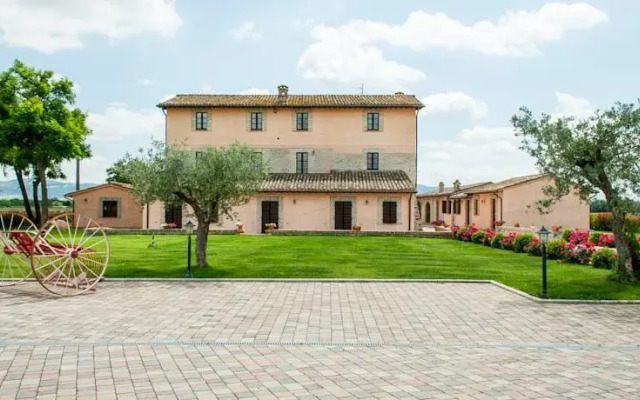 Le Stelle di San Lorenzo