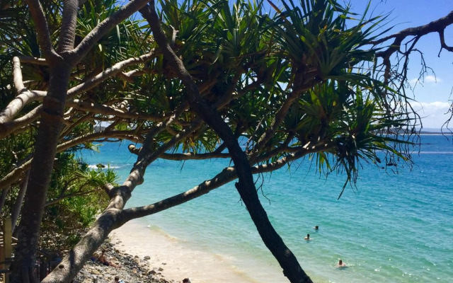 Bayona 1 Little Cove