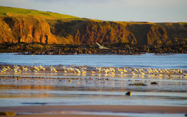 The Mill Inn Apartments