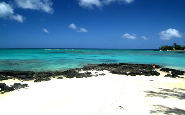 Ocean Beauty