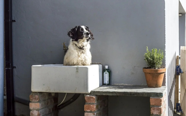 Ashgrove Farm - Llawhaden - Narberth