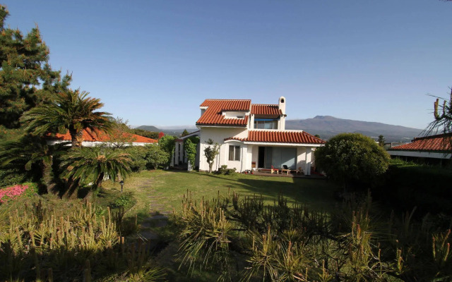 Palm Tree Villa