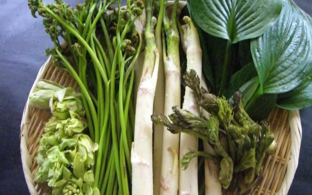 Tamonkan