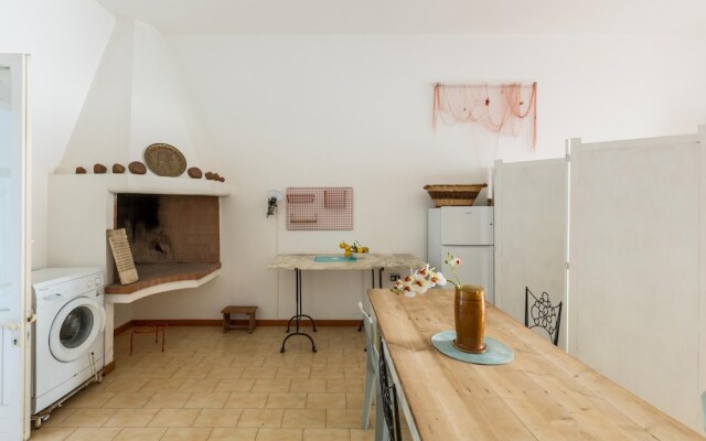 3821 VBR - Mono Rosa by Barbarhouse