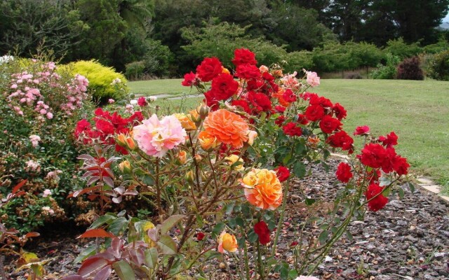 Millers Haven Homestay