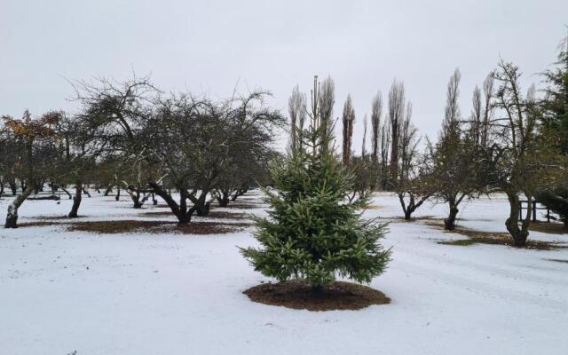 The Orchard House, Wanaka