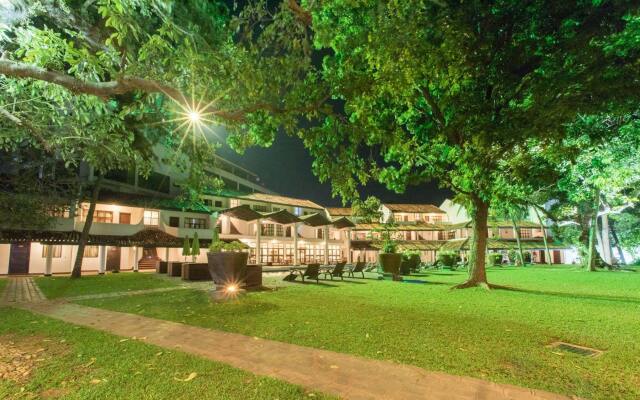 Palms, Mount Lavinia