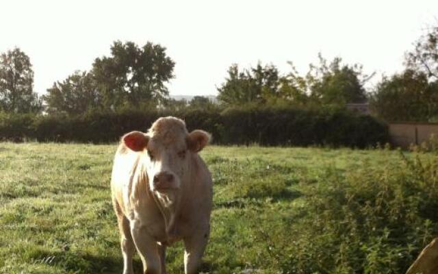 Escale en Charolais Brionnais