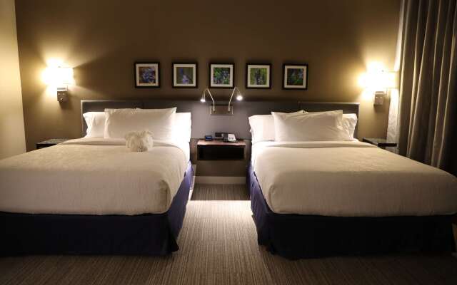 Hilton Garden Inn Austin Airport