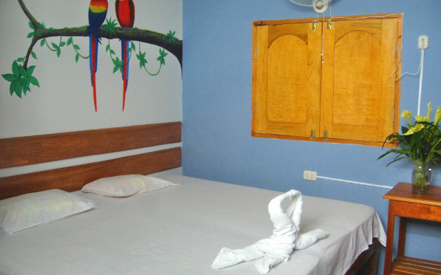 Amazon House Hostel