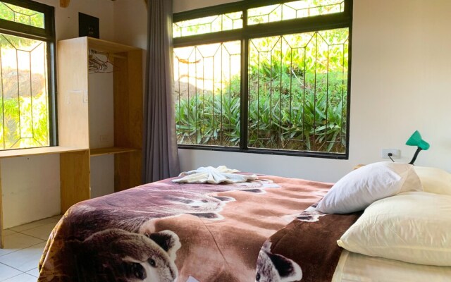 Hakuna Matata Guest House - Hostel