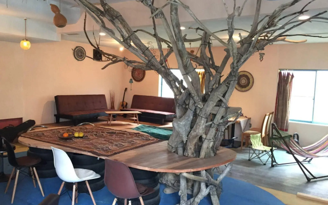 Guest House & Cafe Ohana