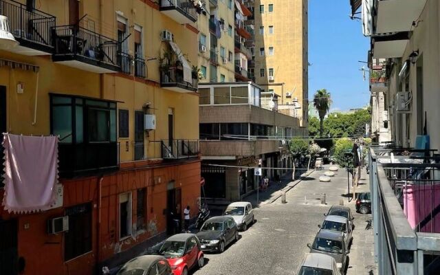 B&B i borboni