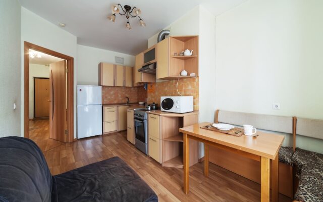Apartment ALLiS-HALL on Radishcheva 33