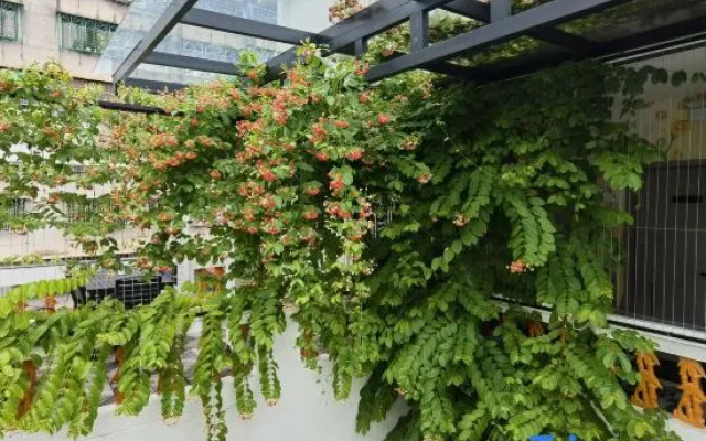 Yali Garden (Chaozhou Ancient City Arch Street Store)