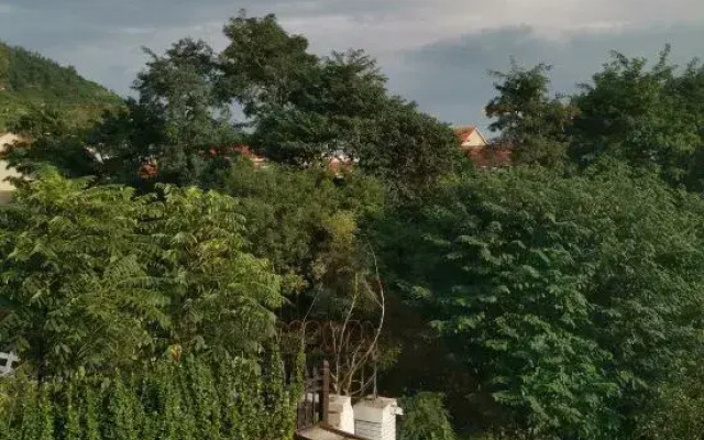 Qingdao Lanhu Meishu