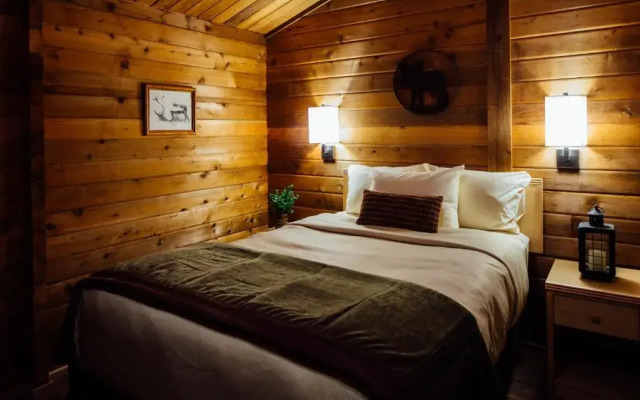 Denali Cabins