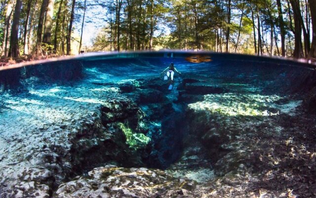 Holiday Inn Express & Suites Alachua - Gainesville Area by IHG