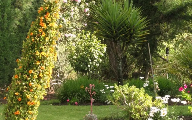 Los jardines de Teresa