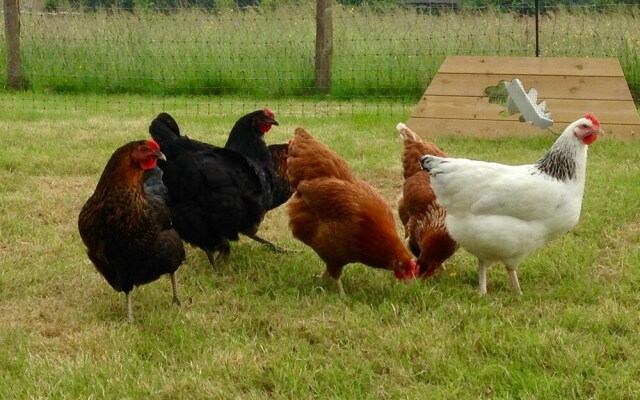 Bewl Rookery B&B