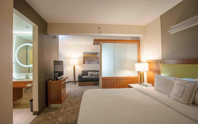 SpringHill Suites by Marriott Athens West