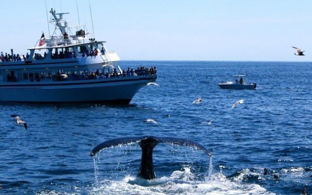 Isaiah Jones Homestead Bed & Breakfast