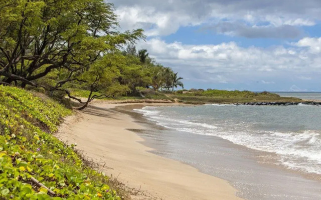 Waiohuli Beach Hale #C-110