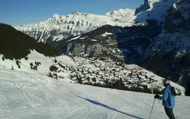 Hotel Alpenblick Mürren