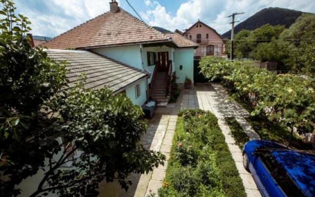 Picturesque Village in Transylvania
