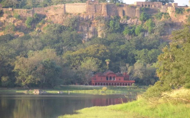 Ranthambore Tiger Home