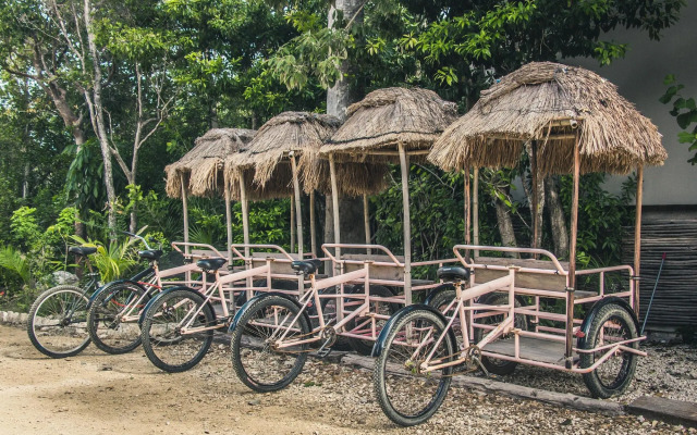 Roc Jungle Tulum