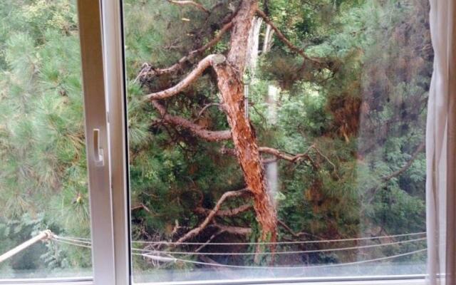 20 Shalva Radiani Street