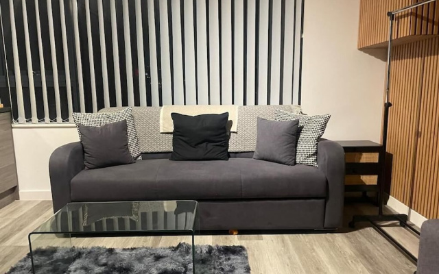 Radio City Apartments near City Centre