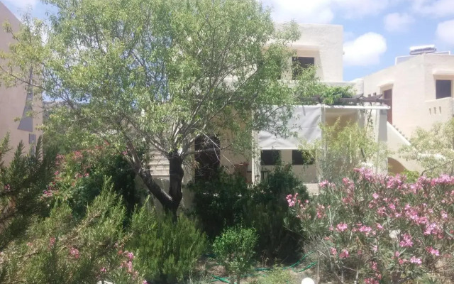 Ζini 2
